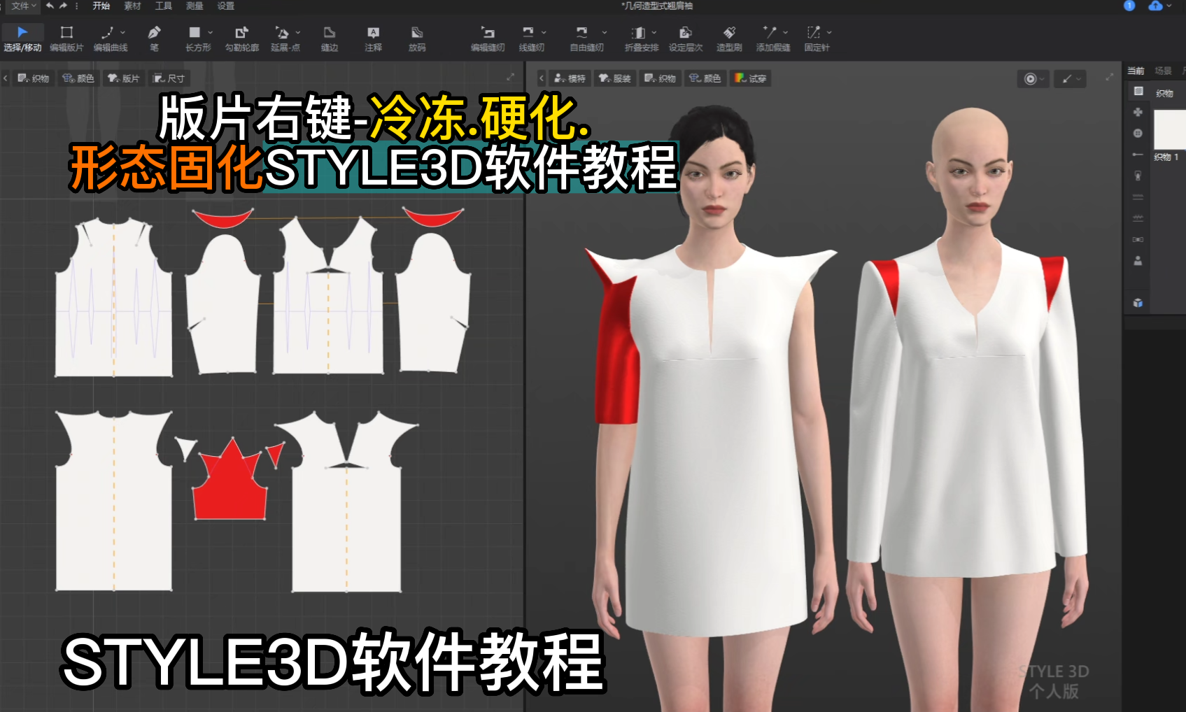 63版片右键-冷冻.硬化.形态固化STYLE3D软件教程.png