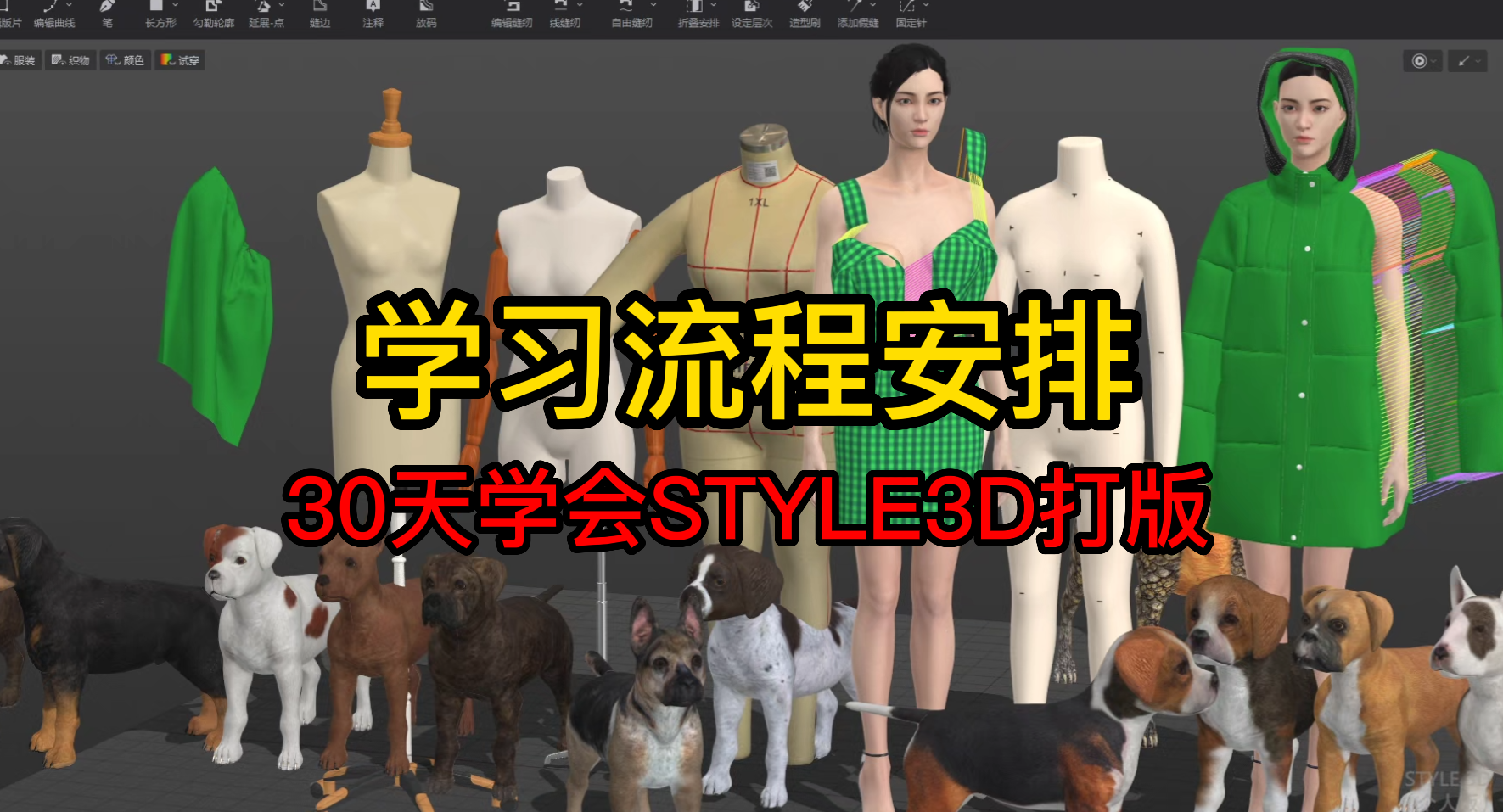 3学习流程安排STYLE3D.png