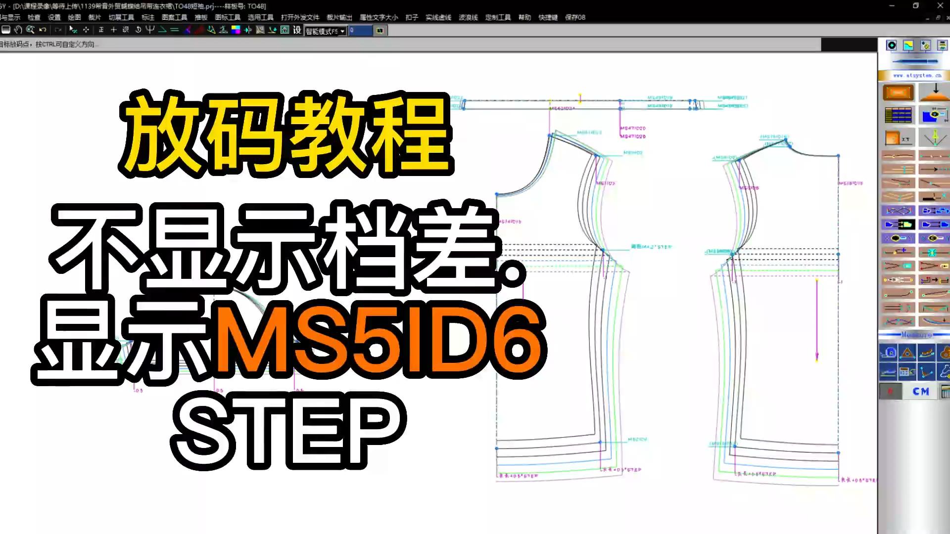 66放码不显示档差数据.显示MS5ID6和STEP.jpg