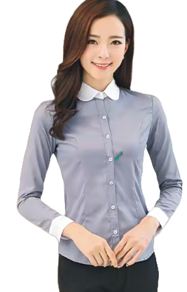 公主缝分割职业装女衬衫打版 (1).png