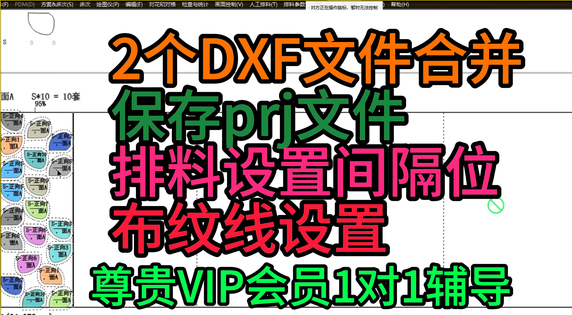 56尊贵VIP会员答疑-2个DXF文件合并保存prj文件排料设置间隔位布纹线设置.png