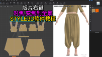 65版片右键-对焦.变焦到全景STYLE3D软件教程